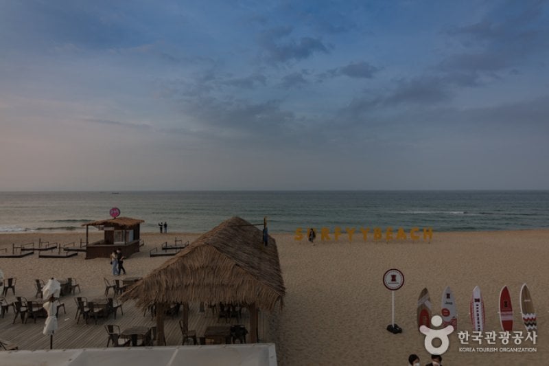 襄陽SURFYY BEACH (10/20)