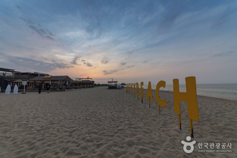 襄陽SURFYY BEACH (12/20)