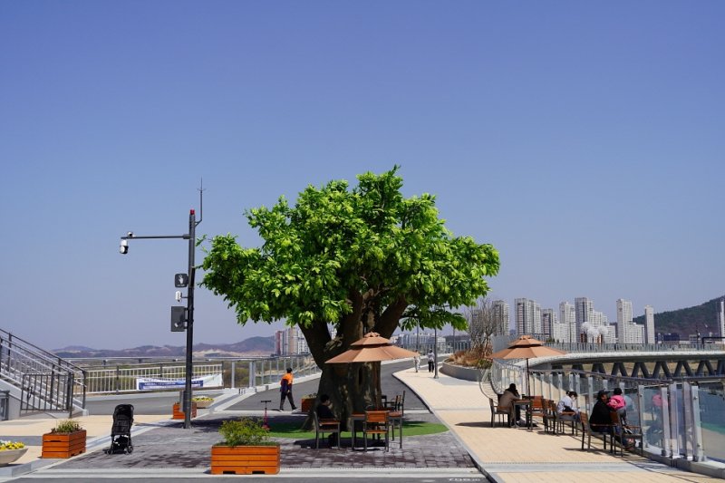 錦江步行橋