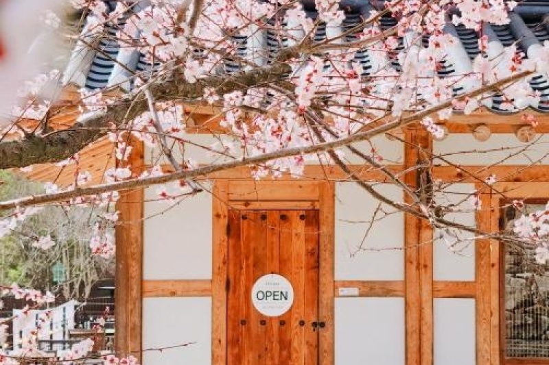 所陽古宅韓屋寄宿 [韓國觀光品質認證/Korea Quality] /소양고택 한옥스테이 [한국관광 품질인증/Korea Quality] (5/5)