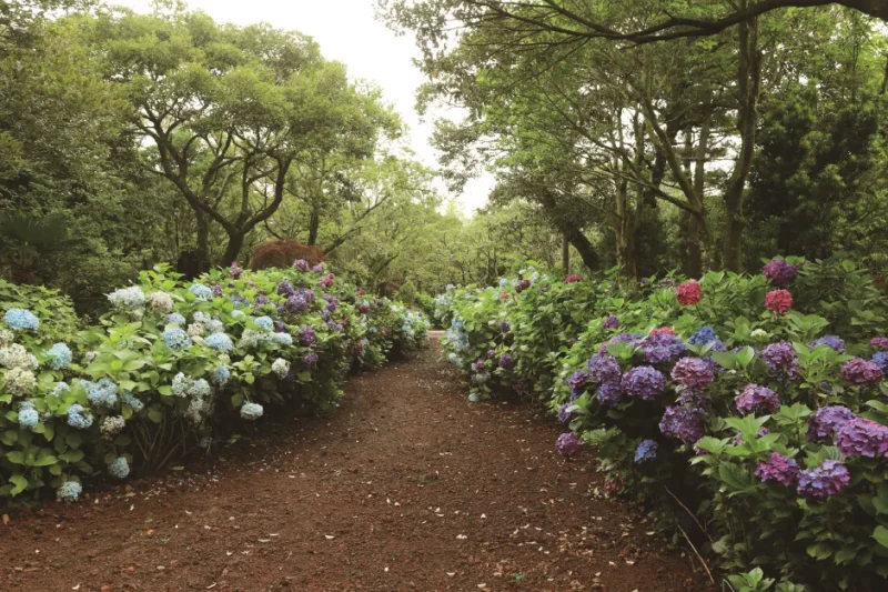 史努比公園