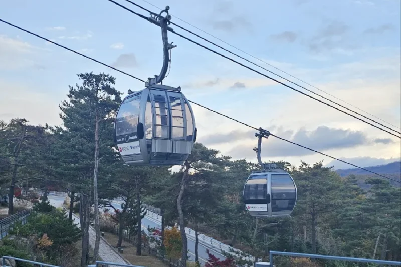 HIGH1度假村（High1 Resort）-江原道 (5/7)