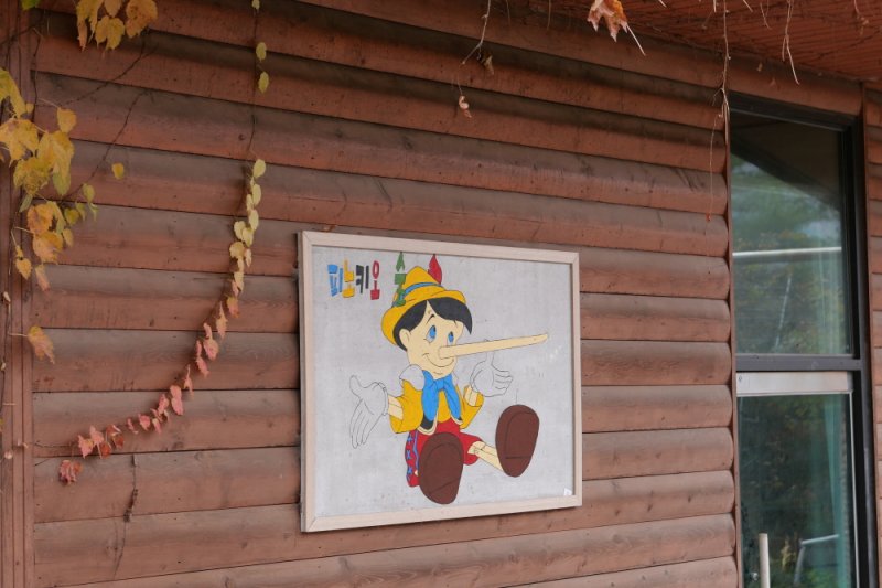 探索皮諾丘自然休養林（Pinocchio Forest）-江原道 (17/23)