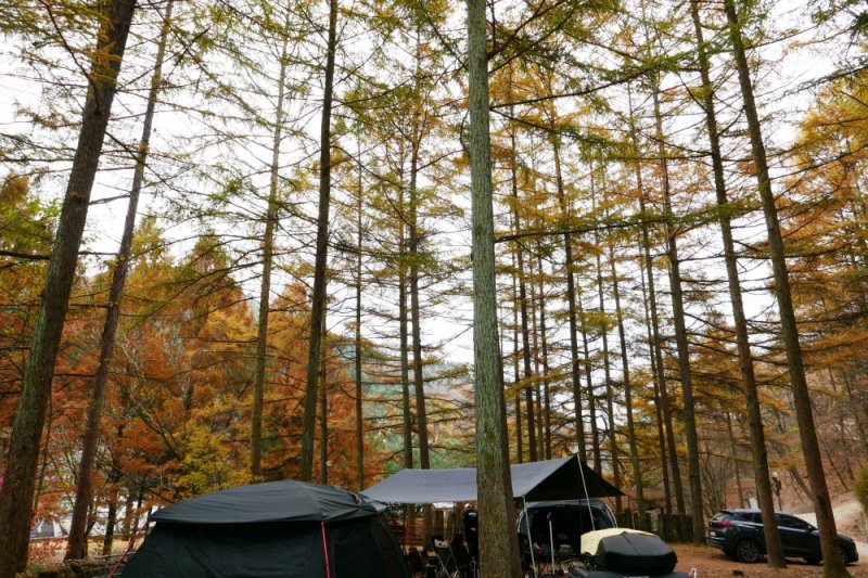 探索皮諾丘自然休養林（Pinocchio Forest）-江原道 (23/23)