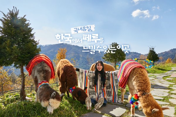 羊駝世界(AlpacaWorld) 門票