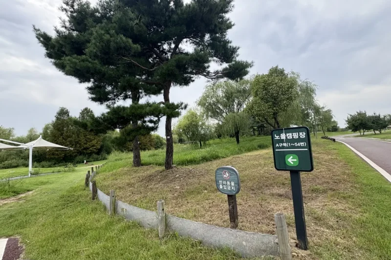 2025首爾BBQ盛典 – 外國人專屬套餐