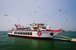 仁川月尾島表演遊船門票 – 現場演出 & 海鷗餵食體驗