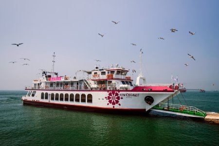仁川月尾島表演遊船門票 – 現場演出 & 海鷗餵食體驗