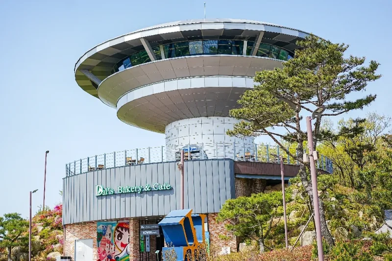 江華斜坡滑車 (江華海邊度假村) 專享優惠券 (14/49)