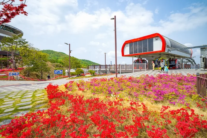 江華斜坡滑車 (江華海邊度假村) 專享優惠券 (38/49)