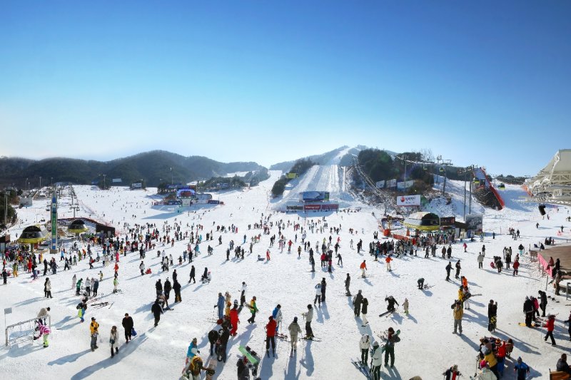WELLI HILLI PARK 滑雪場 (Welli Hilli Park Snow Park)